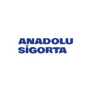 Anadolu Sigorta karnaval sokak lezzetleri