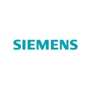 Siemens karnaval sokak lezzetleri