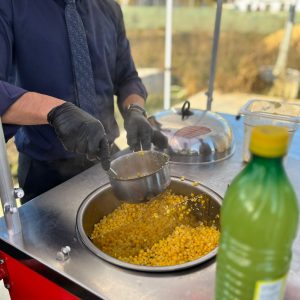 mısır arabası hizmeti